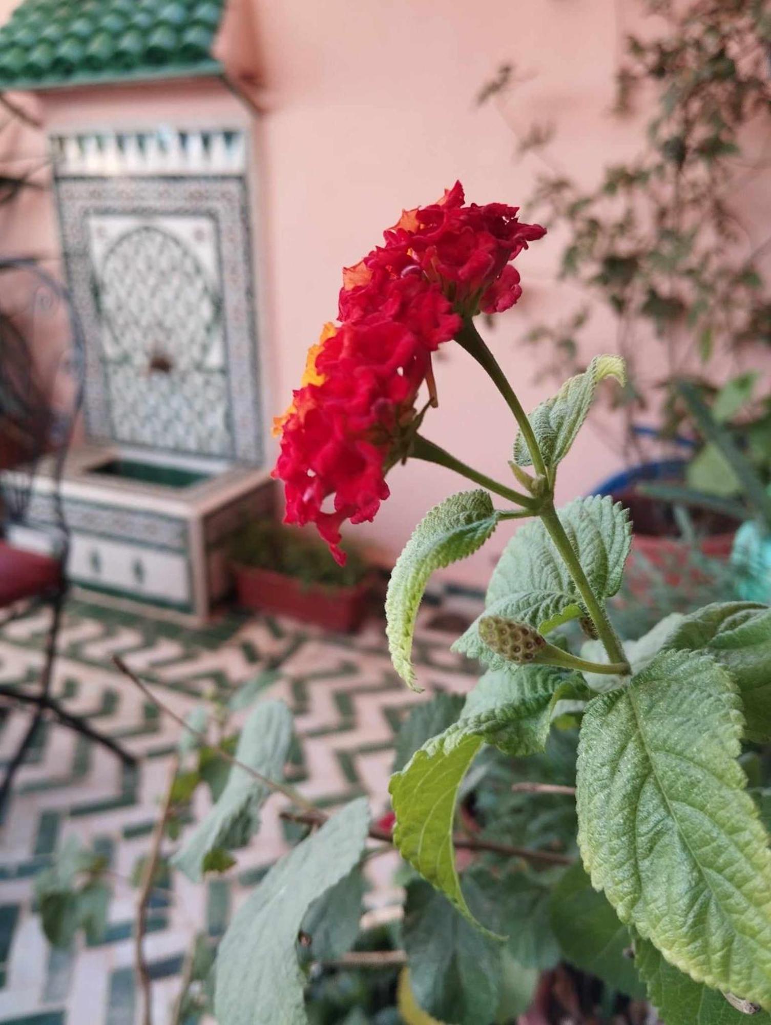 Отель Dar Lantana Фес Экстерьер фото